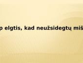 Gaisras miškuose 7 puslapis