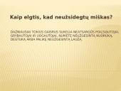 Gaisras miškuose 8 puslapis