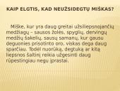 Gaisras miškuose 9 puslapis