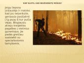 Gaisras miškuose 10 puslapis