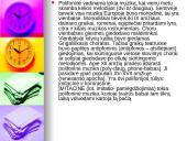 Polifoninė muzika. Pristatymas 2 puslapis