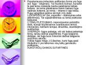 Polifoninė muzika. Pristatymas 5 puslapis