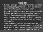 Europos sąjunga: nauda ir praradimai 2 puslapis