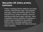 Europos sąjunga: nauda ir praradimai 11 puslapis