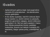 Europos sąjunga: nauda ir praradimai 13 puslapis