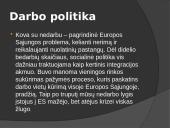 Europos sąjunga: nauda ir praradimai 5 puslapis