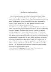 Bendravimo pagrindų savarankiškas darbas 2 puslapis