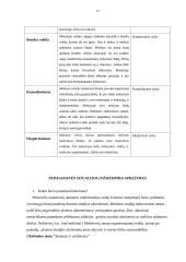 Mokytojo ir besimokančiojo vaidmenys 13 puslapis