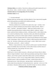 Mokytojo ir besimokančiojo vaidmenys 14 puslapis