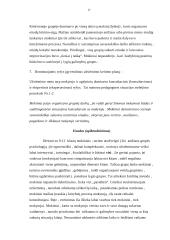 Mokytojo ir besimokančiojo vaidmenys 17 puslapis