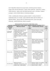 Mokytojo ir besimokančiojo vaidmenys 18 puslapis