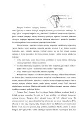 Mokytojo ir besimokančiojo vaidmenys 5 puslapis