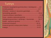 Gyvūnai. Pristatymas 2 puslapis