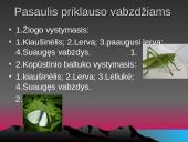 Gyvūnai. Pristatymas 12 puslapis