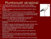 Gyvūnai. Pristatymas 19 puslapis