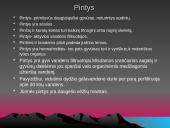 Gyvūnai. Pristatymas 3 puslapis