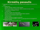 Gyvūnai. Pristatymas 5 puslapis