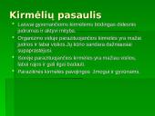 Gyvūnai. Pristatymas 6 puslapis