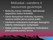 Gyvūnai. Pristatymas 8 puslapis