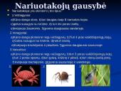 Gyvūnai. Pristatymas 9 puslapis