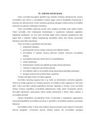 Valdžios sistema Lietuvoje 14 puslapis