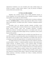 Valdžios sistema Lietuvoje 16 puslapis