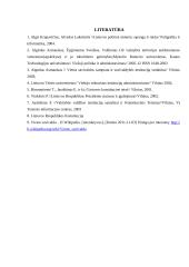 Valdžios sistema Lietuvoje 19 puslapis