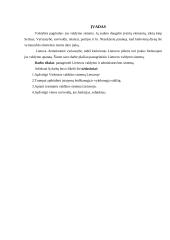 Valdžios sistema Lietuvoje 3 puslapis