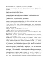 Dabartinė LR teismų sistema ir jos raida 13 puslapis