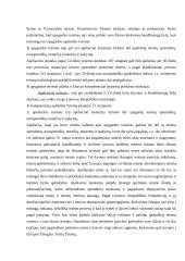 Dabartinė LR teismų sistema ir jos raida 14 puslapis