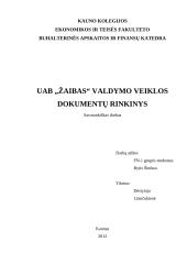 UAB „Žaibas“ valdymo veiklos dokumentų rinkinys