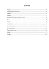 UAB „Žaibas“ valdymo veiklos dokumentų rinkinys 2 puslapis