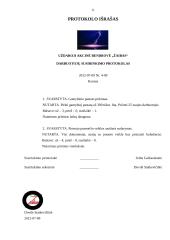 UAB „Žaibas“ valdymo veiklos dokumentų rinkinys 11 puslapis