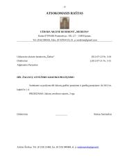 UAB „Žaibas“ valdymo veiklos dokumentų rinkinys 13 puslapis