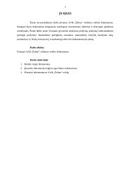 UAB „Žaibas“ valdymo veiklos dokumentų rinkinys 3 puslapis