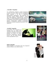 Dailės egzamino peržiūra. Fotografija  11 puslapis