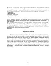 Dailės egzamino peržiūra. Fotografija  12 puslapis