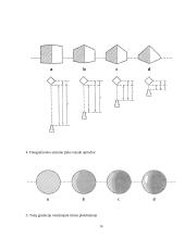 Dailės egzamino peržiūra. Fotografija  14 puslapis