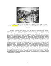 Dailės egzamino peržiūra. Fotografija  6 puslapis