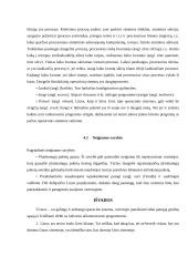 Linuso Torvaldso asmenybė. Linux OS atsiradimo prielaidos 7 puslapis