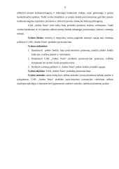 UAB "Amber pasta" produkto pozicionavimo koncepcijos vertinimas 6 puslapis