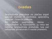 Verslo licencija 2 puslapis