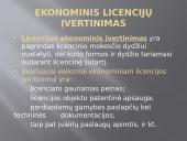 Verslo licencija 12 puslapis