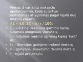 Verslo licencija 13 puslapis
