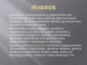 Verslo licencija 15 puslapis