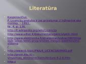 Verslo licencija 16 puslapis