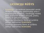 Verslo licencija 3 puslapis