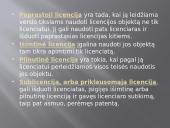 Verslo licencija 5 puslapis