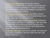 Verslo licencija 6 puslapis