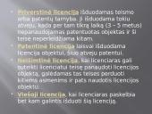 Verslo licencija 7 puslapis